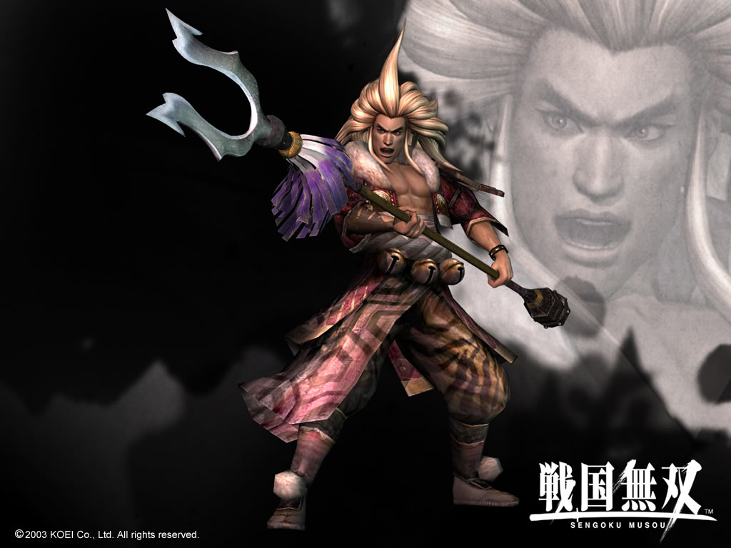 戦国無双壁紙 戦国無双壁紙