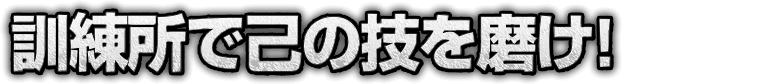 訓練所で己の技を磨け！