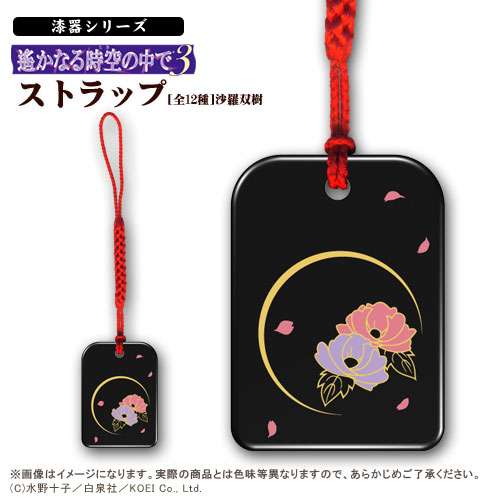 美品★遙かなる時空の中で3 紅の月 限定生産盤2枚組 水野十子 水野十子 | アニメイト