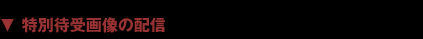 Լۿ