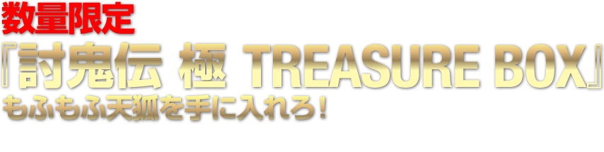 数量限定『討鬼伝 極TREASURE BOX』