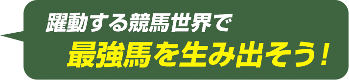 躍動する競馬世界で、最強馬を生み出そう！