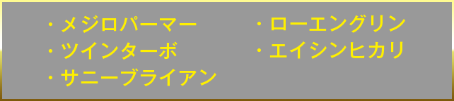 メジロパーマー　ツインターボ　サニーブラウン　ローエングリン　エイシンヒカリ