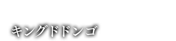 轟炎凶角竜 キングドドンゴ