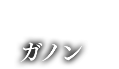  魔獣 ガノン