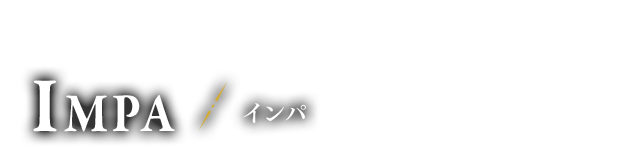 ハイラル王国親衛隊 隊長 インパ