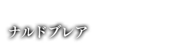 覚醒炎翼竜 ナルドブレア
